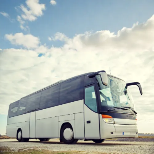 service de transport portuaire chauffeur autobus